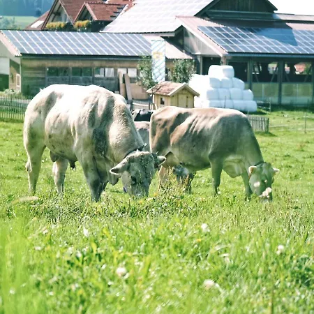 Schadlerhof * Oberstaufen